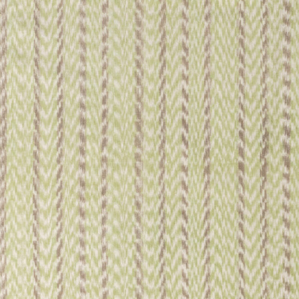 Jiva - Moss